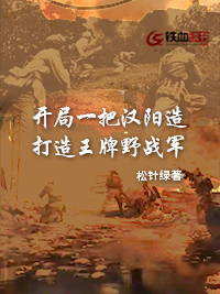 开局一把汉阳造，打造王牌野战军战场（三）小说免费全文阅读